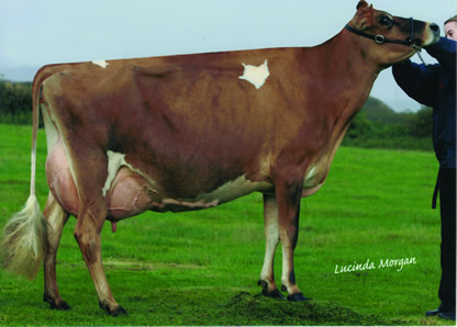 BLUEGRASS JAZZMANS BLONDETTE